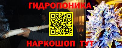 эйфоретик Анжеро-Судженск
