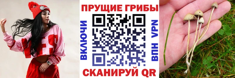 hydra как зайти  наркошоп  площадка состав  Псилоцибиновые грибы ЛСД  Магадан 