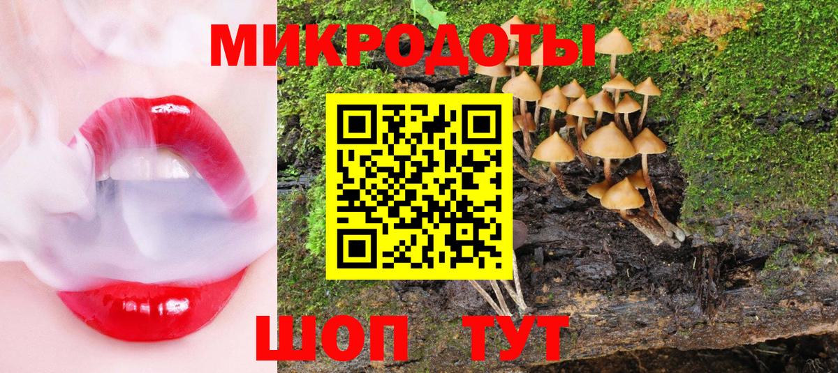 Псилоцибиновые грибы Magic Shrooms Магадан