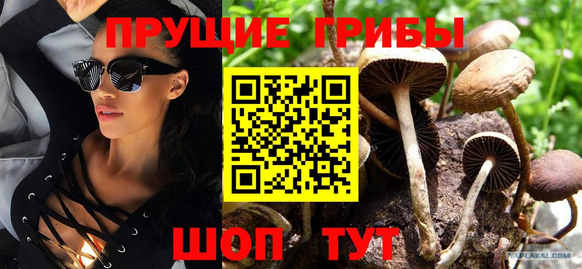 Псилоцибиновые грибы Cubensis  Псилоцибиновые грибы MAGIC MUSHROOMS  Вход с VPN  Магадан 