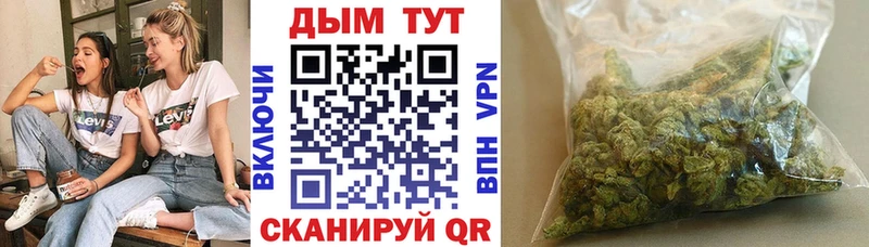 Шишки марихуана сатива  Магадан 